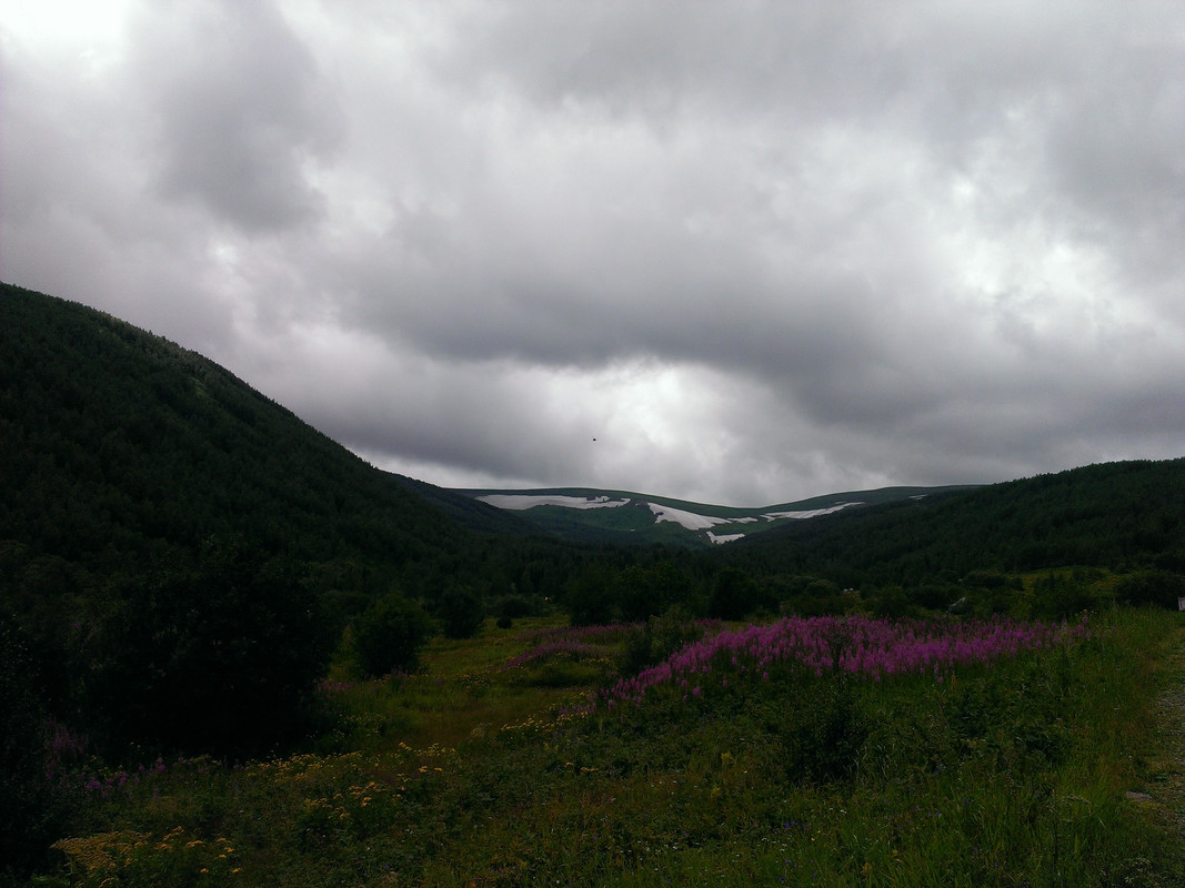 IMAG0478