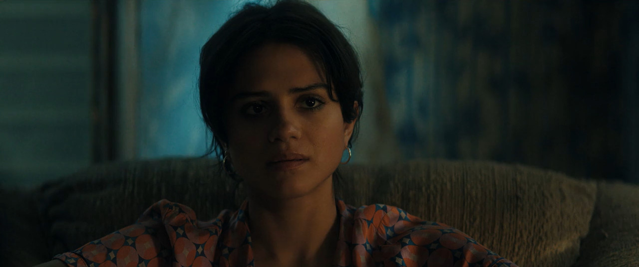The Rip 2026 WebRip [Hindi + Tamil + Telugu + English] 480p 720p ESub Screenshot