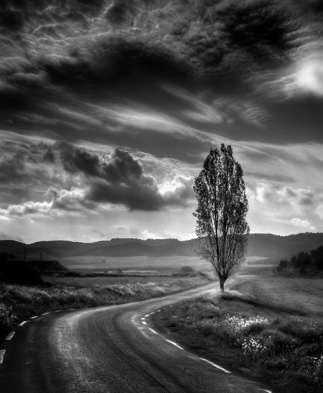 Screenshot_20230401_234036_Pinterest