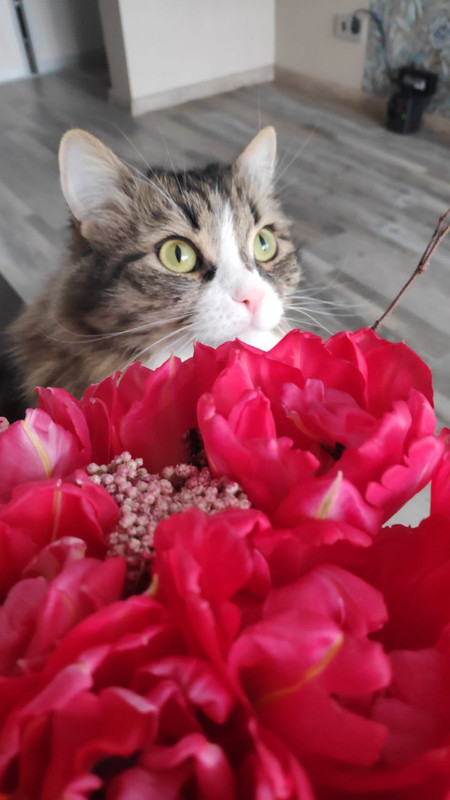 IMG_20230308_125534_299