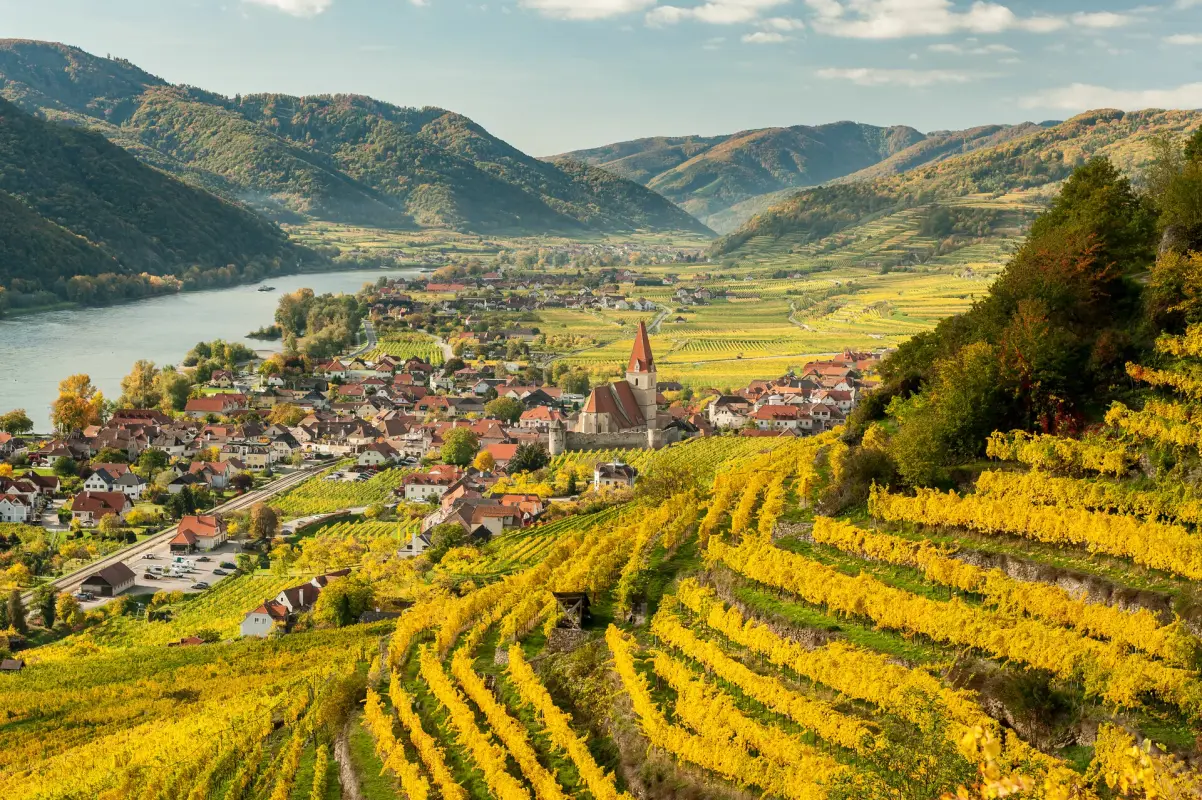 Österreich - Wachau: Goldene Weinlandschaften