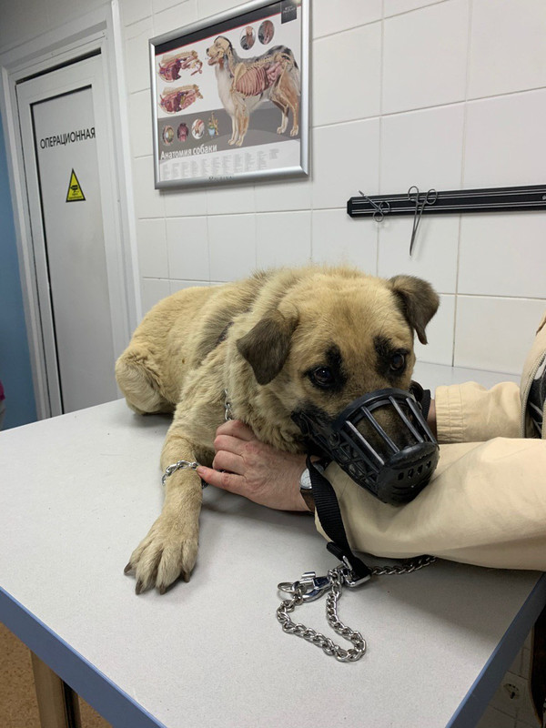 08056137-696A-495B-ABB0-73BDA06EDED1