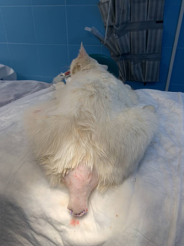 BFE65BDE-62C0-4C44-9087-5A2816104827