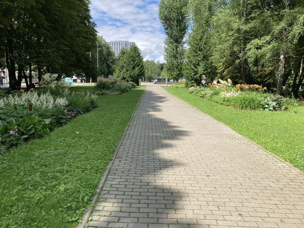 https://i.postimg.cc/6QmMCwJb/69.jpg