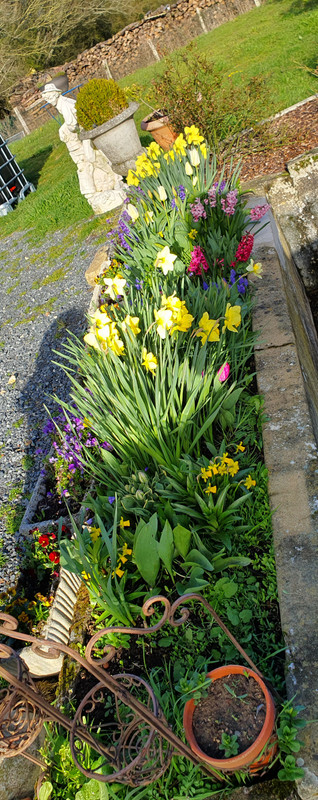 [Image: 20230401-073014.jpg]