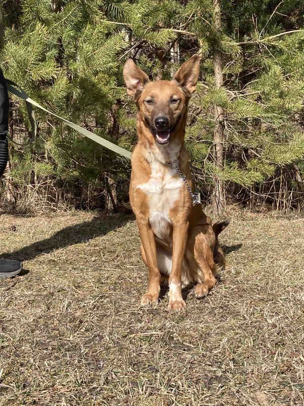 изображение_viber_2022-04-05_13-50-15-182