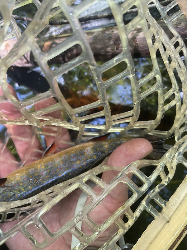 78F5F728-DDF2-4EF3-BF8E-9E3A88FCE3EE