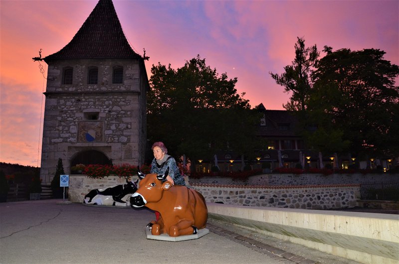 CATARATAS DEL RHIN-5-9-2019 - Suiza y sus pueblos-2019 (41)