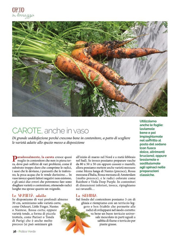 Pol Ver Apr-Mag 2022 (7)