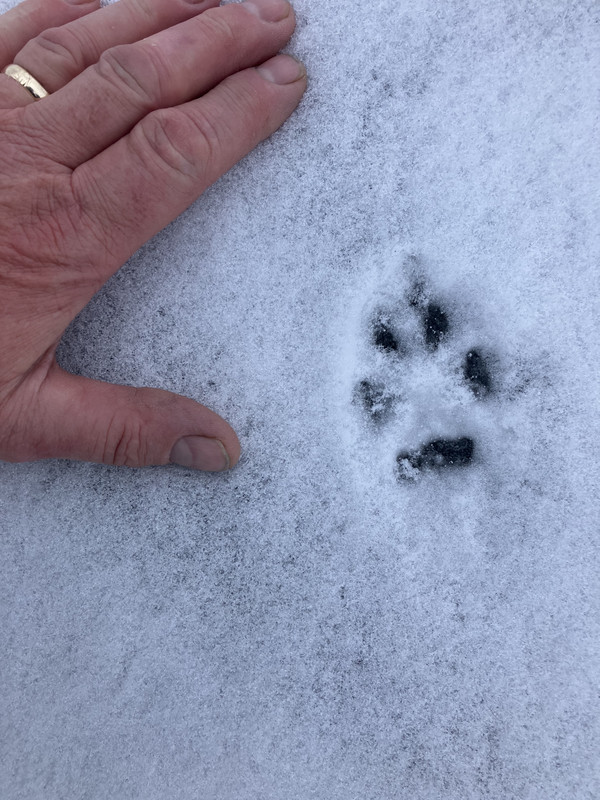 B5295236-3596-4397-8C43-55EA939EF3DF