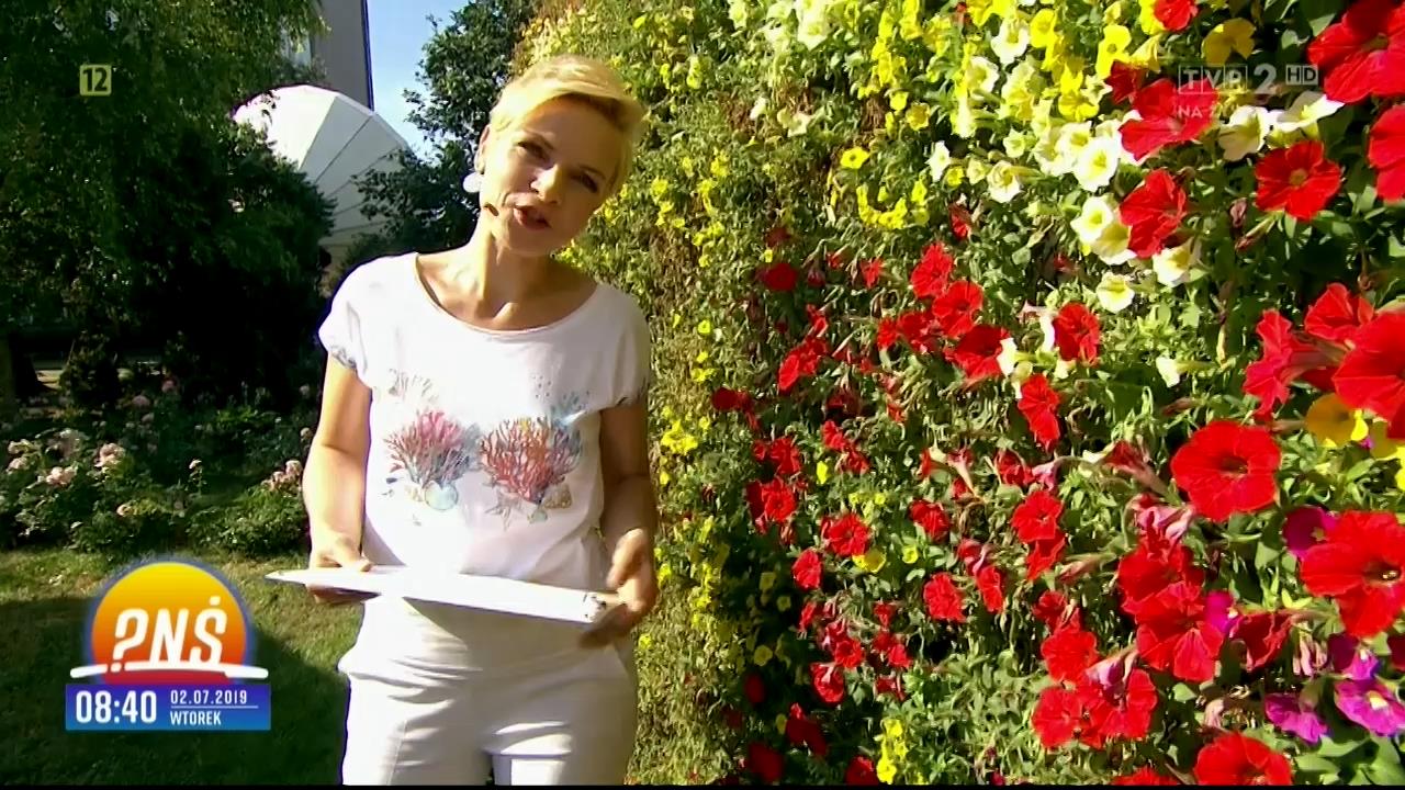 V0323_20190708_160125.mp4_snapshot_03.02_[2019.07.11_00.18.38]