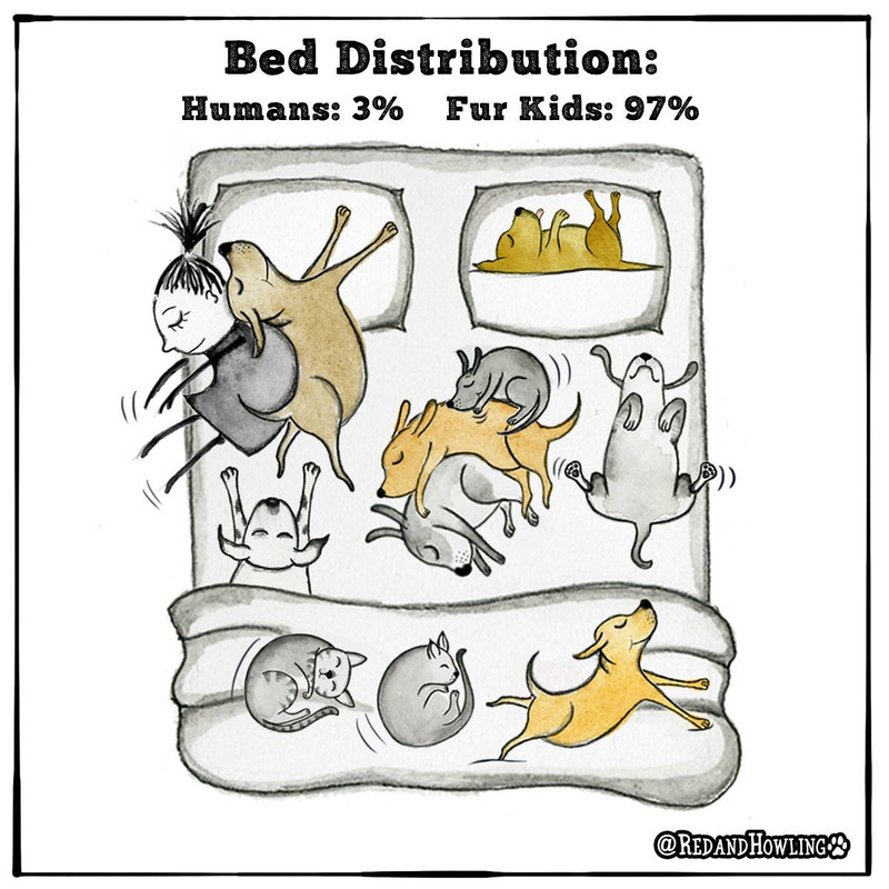 [Image: 138236307-249961513156644-8619977804000780109-n.jpg]