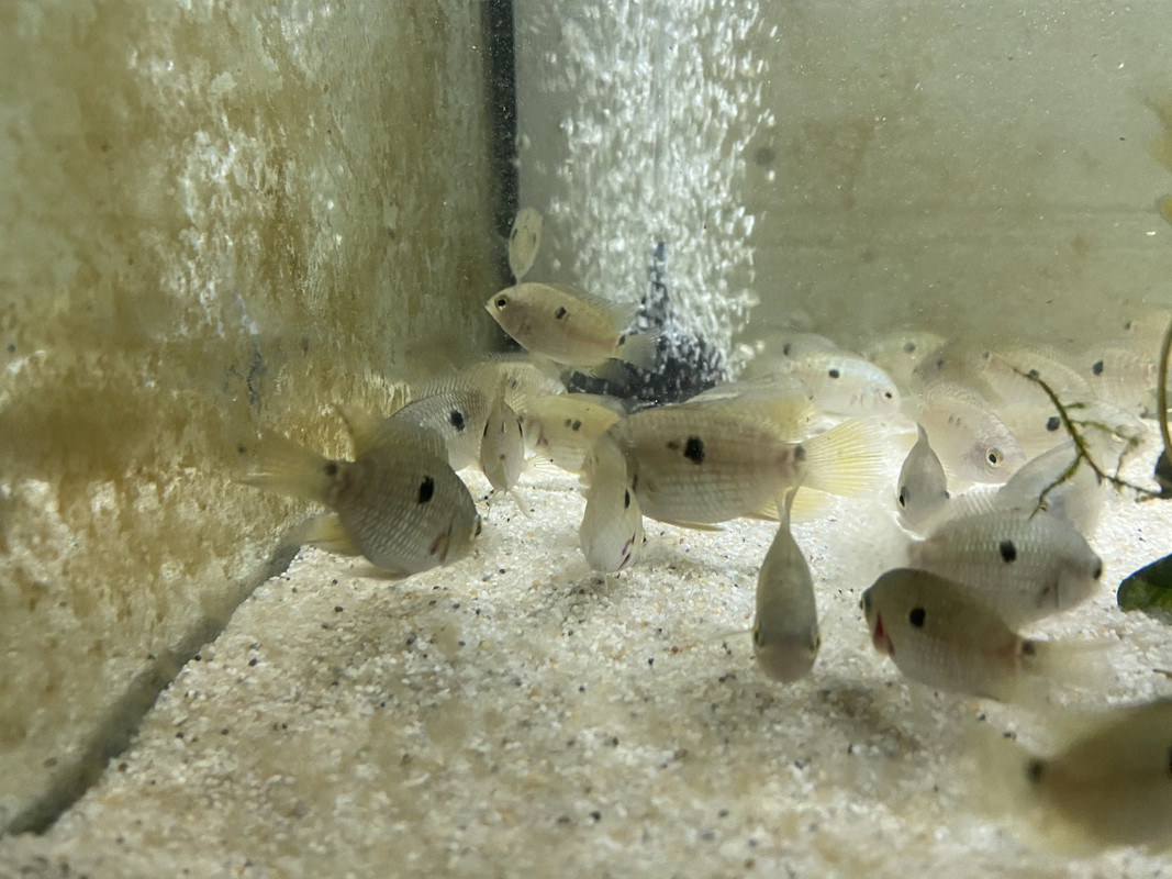 4F7B03C3-78F3-4C78-BF12-C674A6BD5BD5