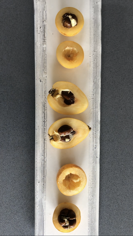 BFAF4511-19C8-4BA1-B0A0-4A8E22D3F2A8