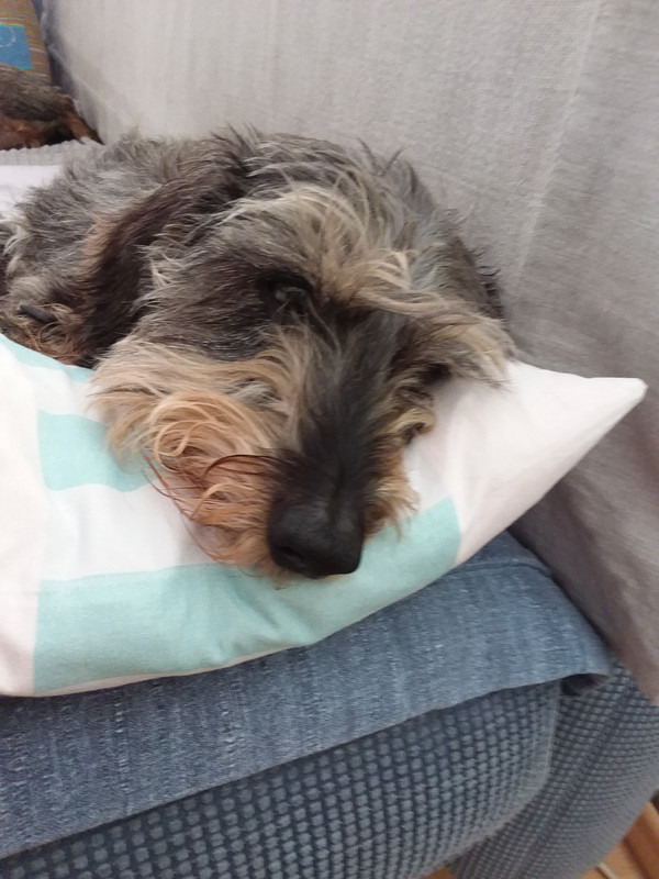 [Image: 20230816-135438.jpg]