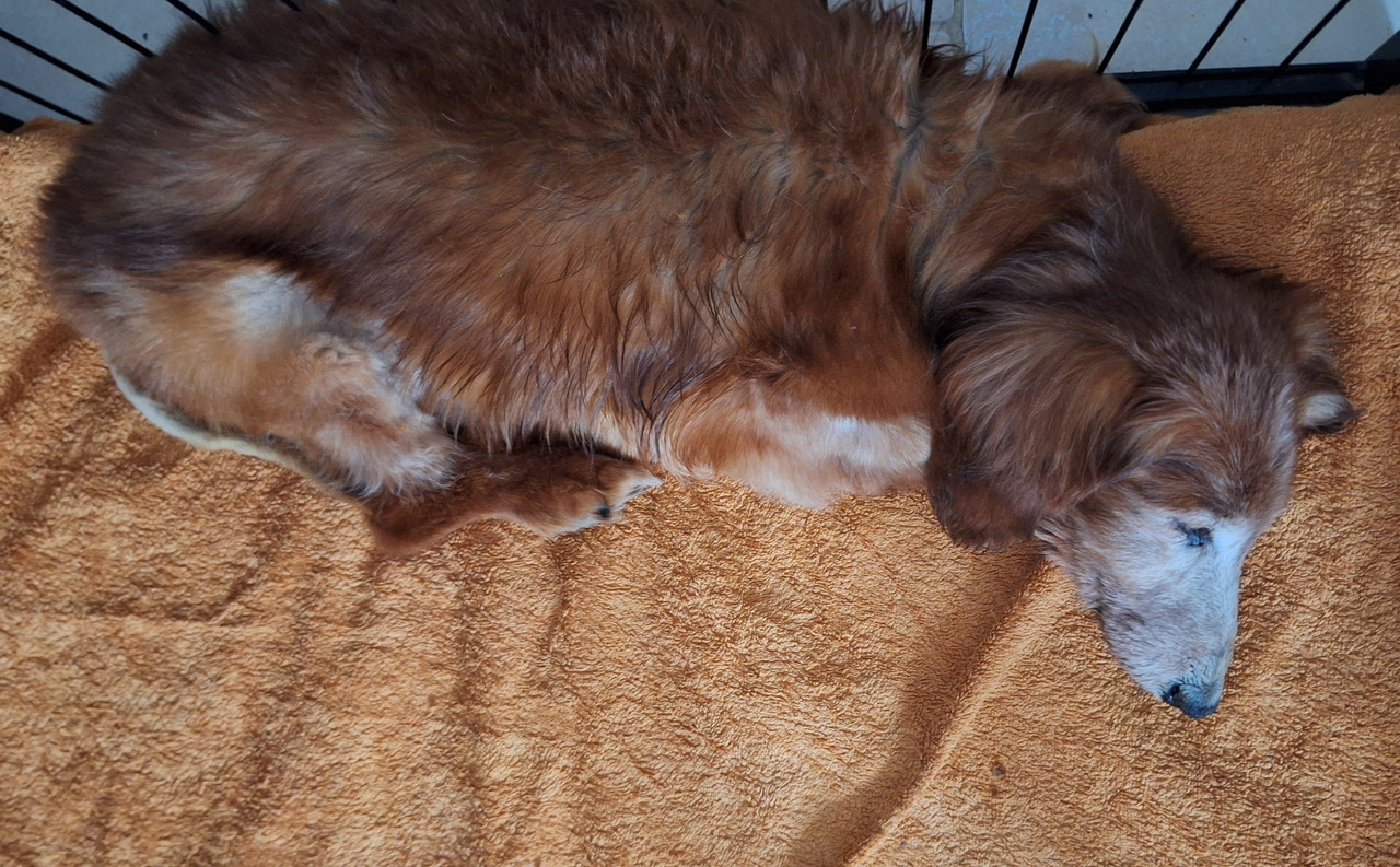 [Image: 20250323-132731.jpg]