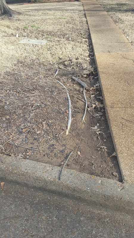 Ideas to stop washout at sidewalk (flower, lawn, landscaping, grow