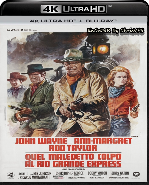 Rabusie pociągów / The Train Robbers (1973) MULTI.HDR.2160p.BDRemux.DTS.HD.MA.AC3-ChrisVPS / LEKTOR i NAPISY