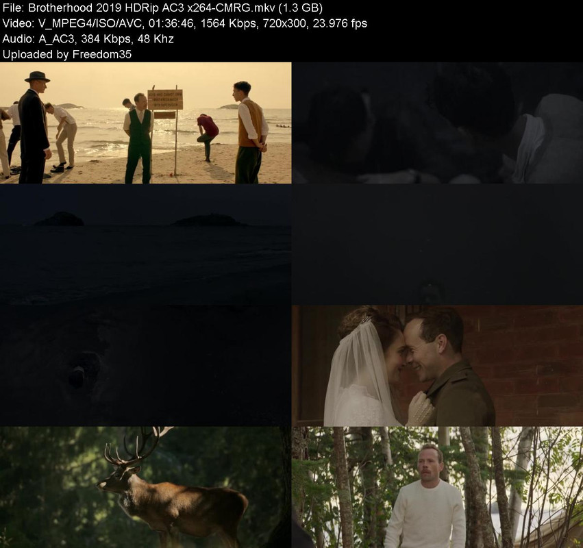 Brotherhood-2019-HDRip-AC3-x264-CMRG.jpg