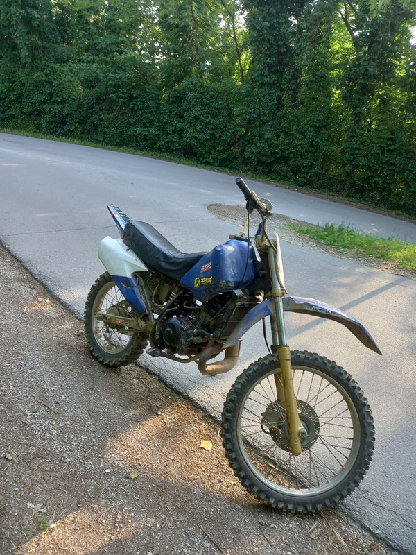 WhatsApp Image 2022-05-08 at 18.08.54(1)