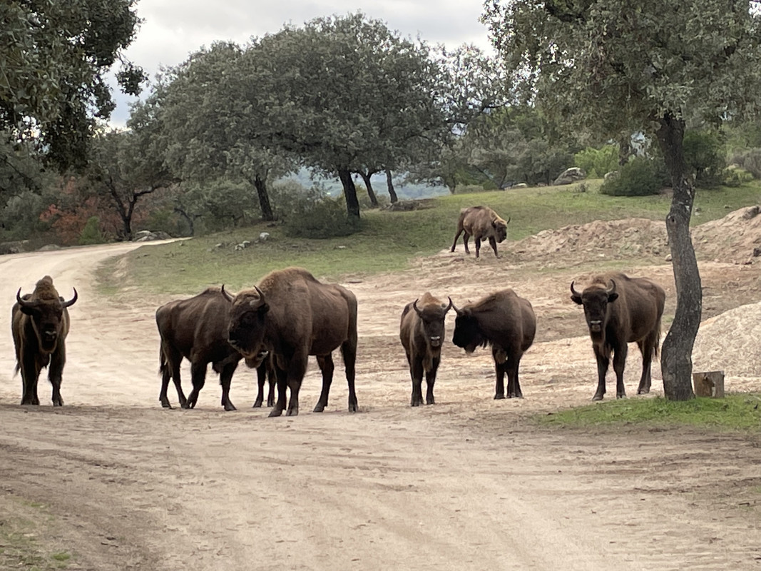 A991A13D-9DE2-41D9-AA5C-BB5067D40DED