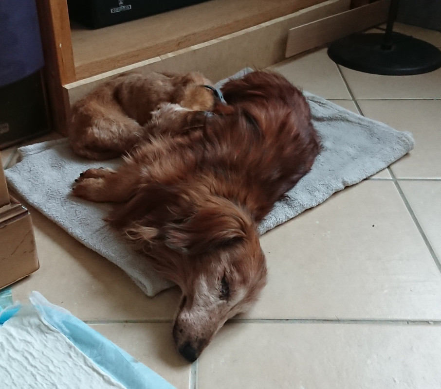 [Image: 20220902-191941.jpg]