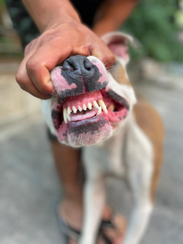 WhatsApp Image 2022-08-05 at 14.53.42 (2)