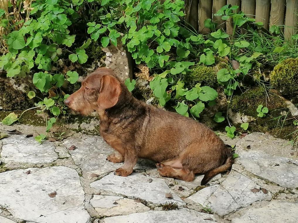 [Image: image000001-38.jpg]