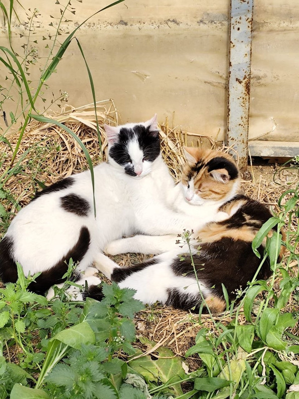 photo 1 2026 04 24 10 13 31