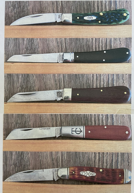 77B929AD-2484-4B25-95E5-80EF27096F0B_1_201_a