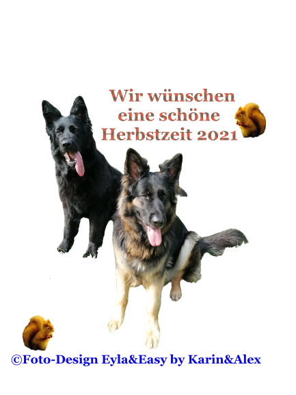 An den Beitrag angehängtes Bild: https://i.postimg.cc/6Qpqh6pV/18-September21.png