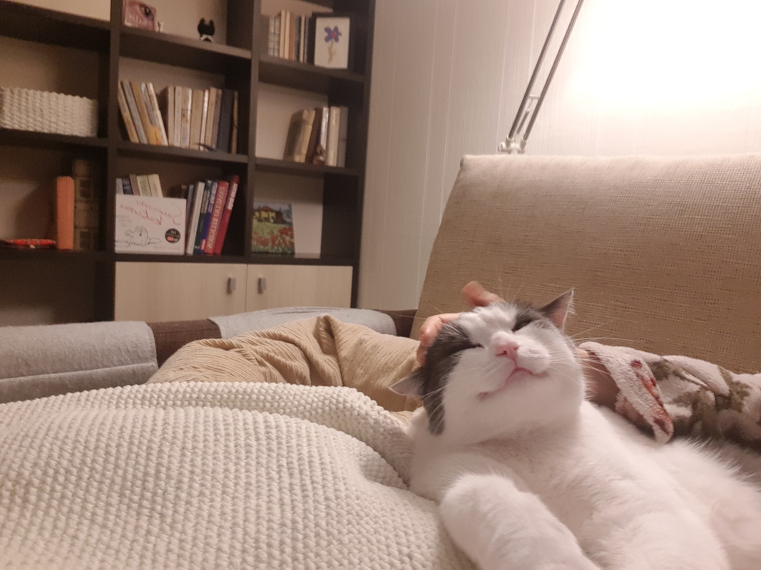 20190306-214329.jpg