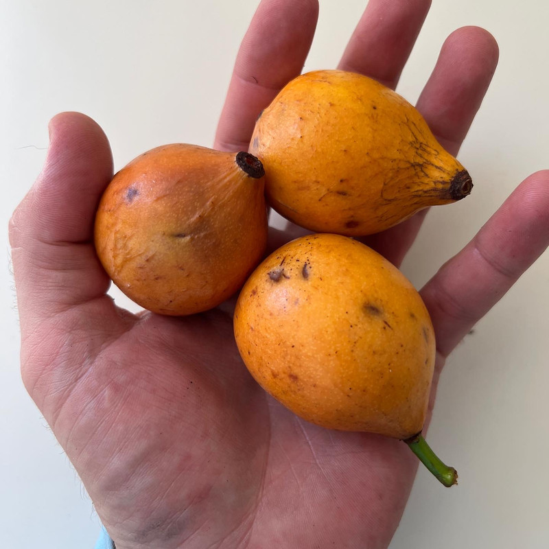 627AFAA2-CB95-4A91-8797-93490E6ABA95