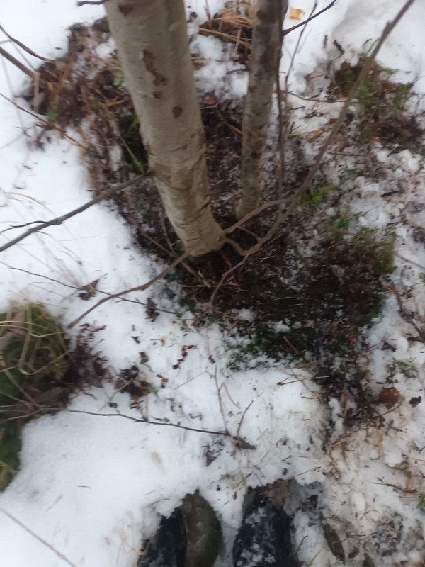 IMG 20260305 210230 961