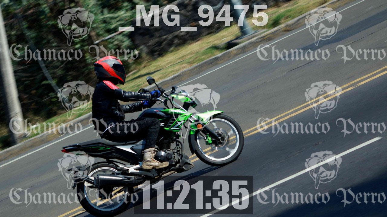 MUESTRA MG 9475 — Postimages