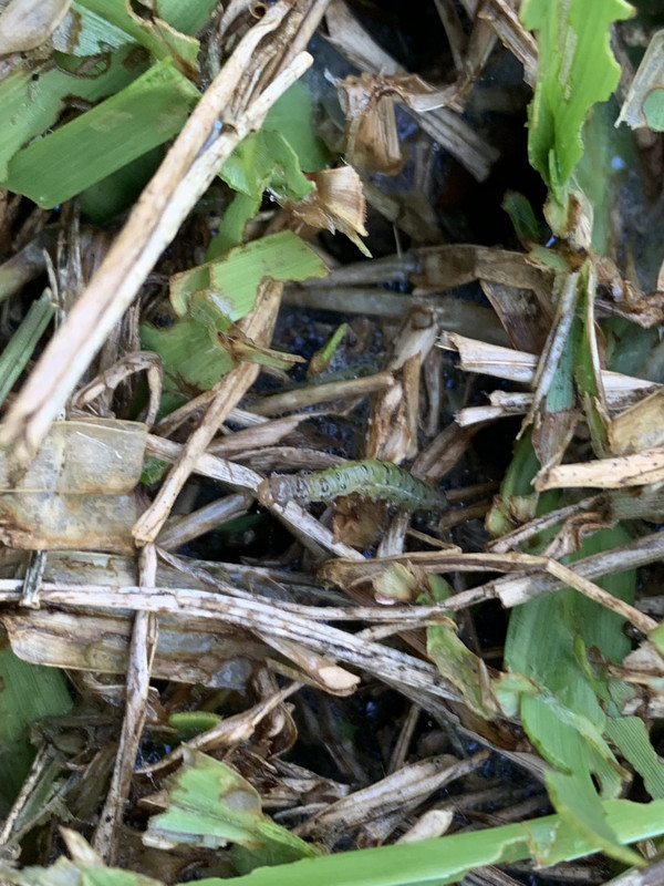 9F118D61-A2BD-4786-943B-B1840C2673DA