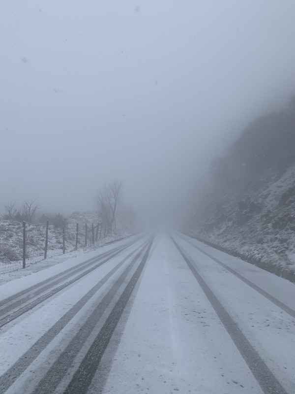 CC9CC155-331E-4C5C-B8EA-0387090BE2B3