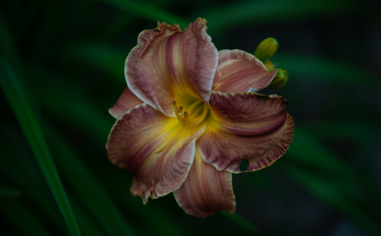 IMG-0554ad47df4baeff942b219901e41164-V