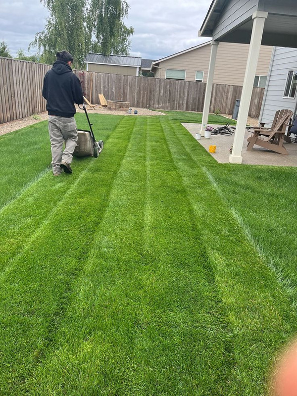 Freshly Mowed Lawn