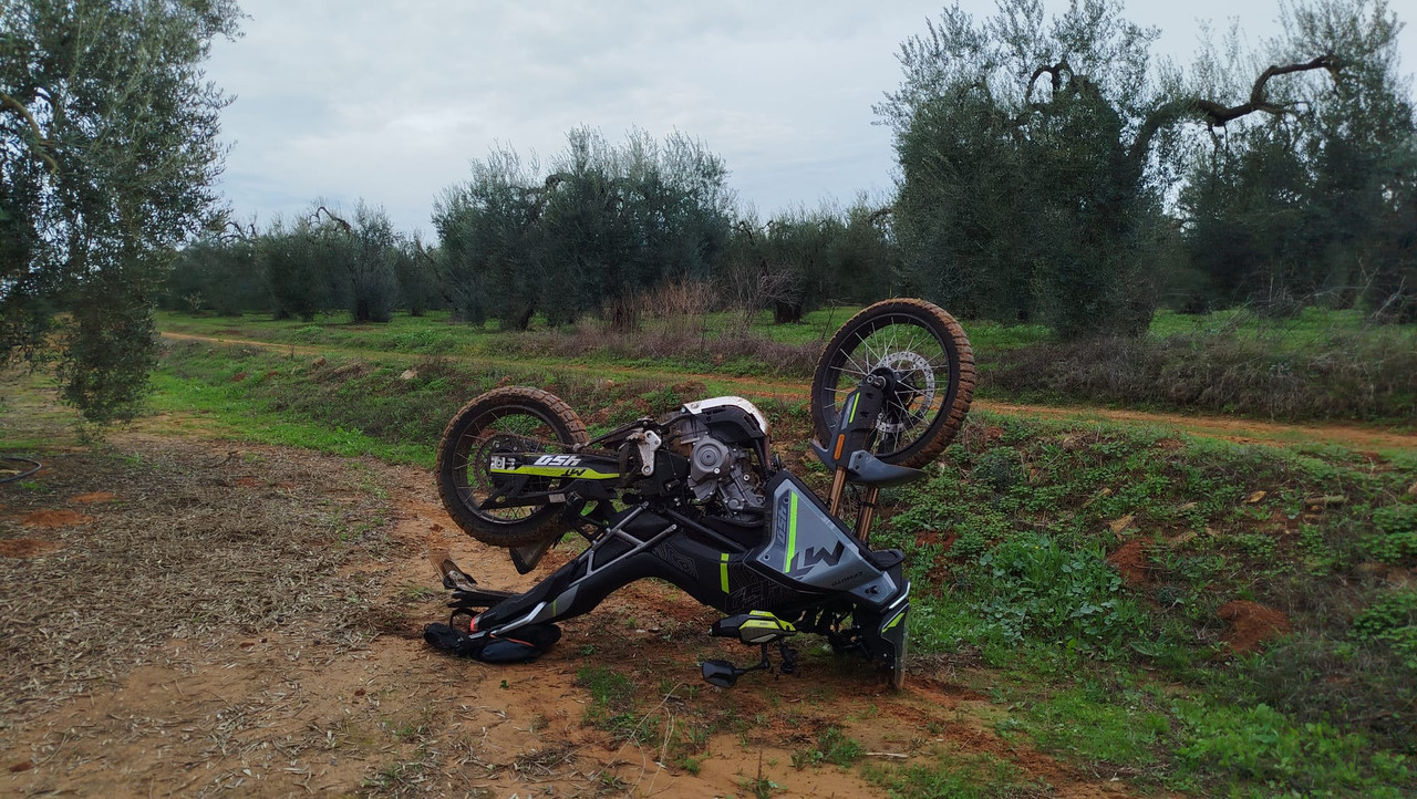 Whats App Image 2025 12 13 at 18 58 22