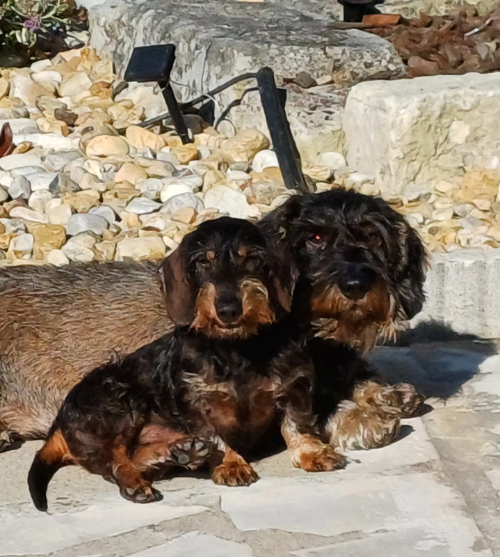 [Image: IMG-20250605-172200.jpg]