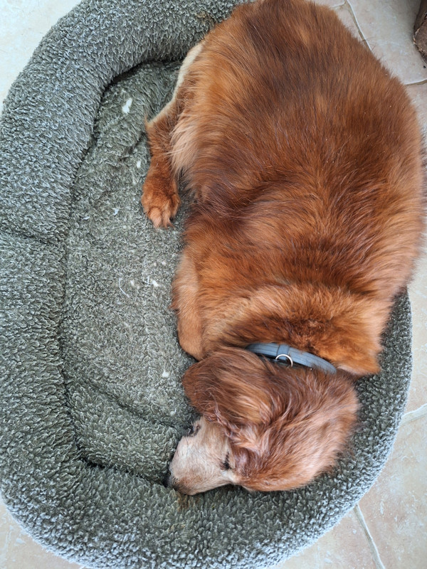 [Image: 20240303-141658.jpg]