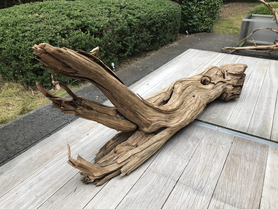 ED1754EC-70F2-4940-93A4-8011FA476A08