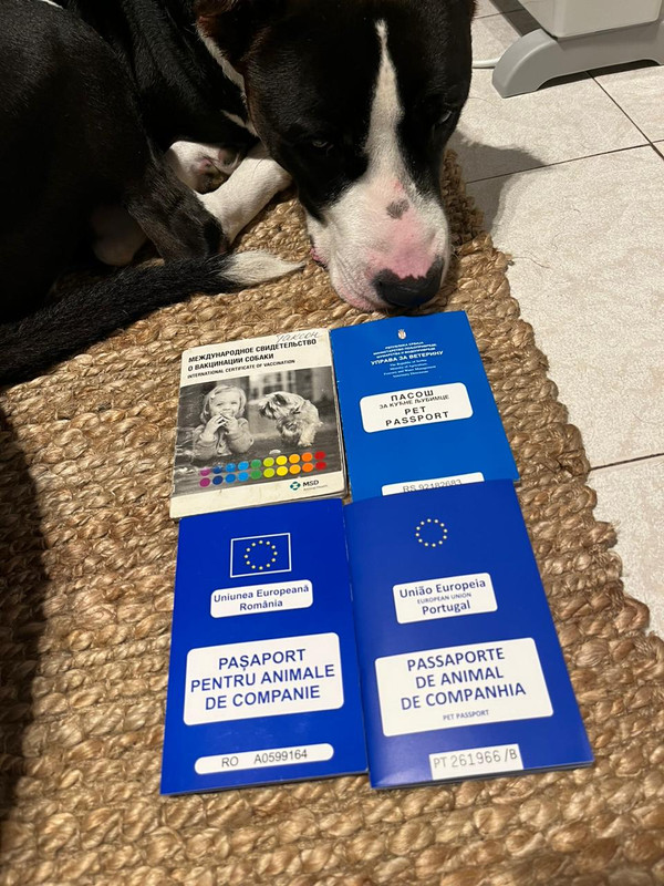 A683BB74-90CA-4659-86B8-0A2A44FABD98