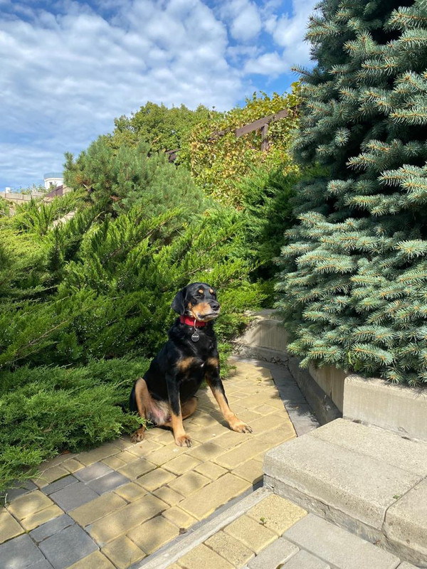 BBC9491D-A309-43F4-89DF-D005E099E267