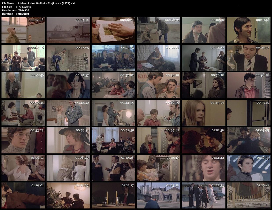 Ljubavni zivot Budimira Trajkovica (1977).avi