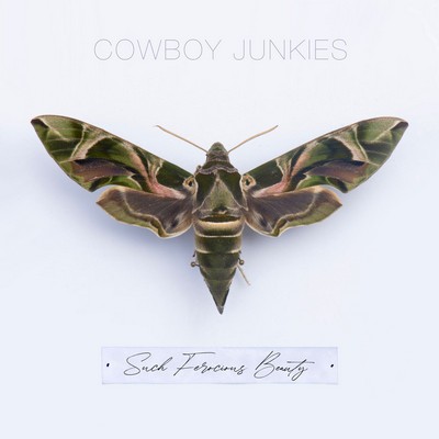 Cowboy Junkies - Such Ferocious Beauty (2023) [CD-Quality + Hi-Res] [Official Digital Release]