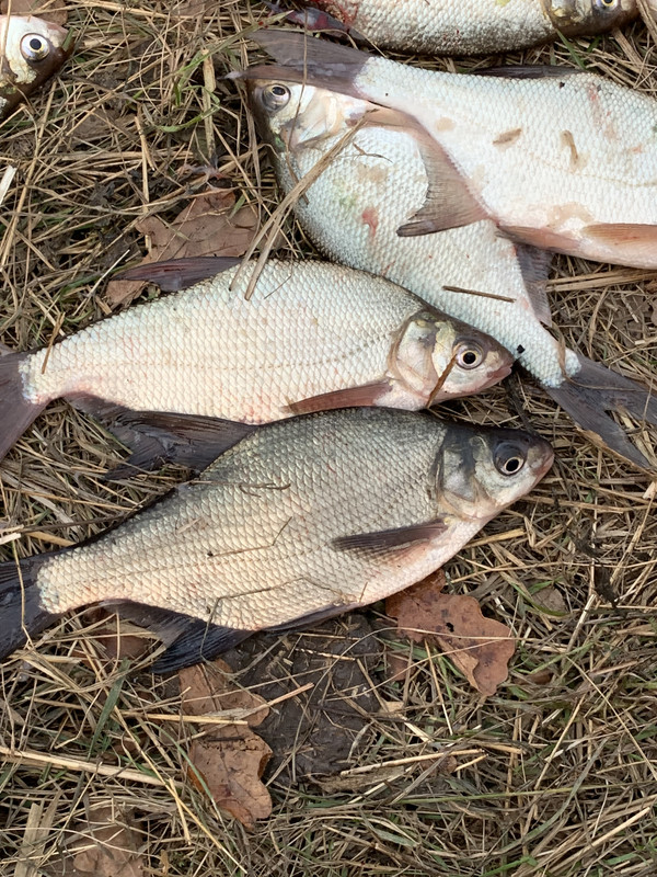 CF116CAE-6B63-4E01-9E75-ED1412028179