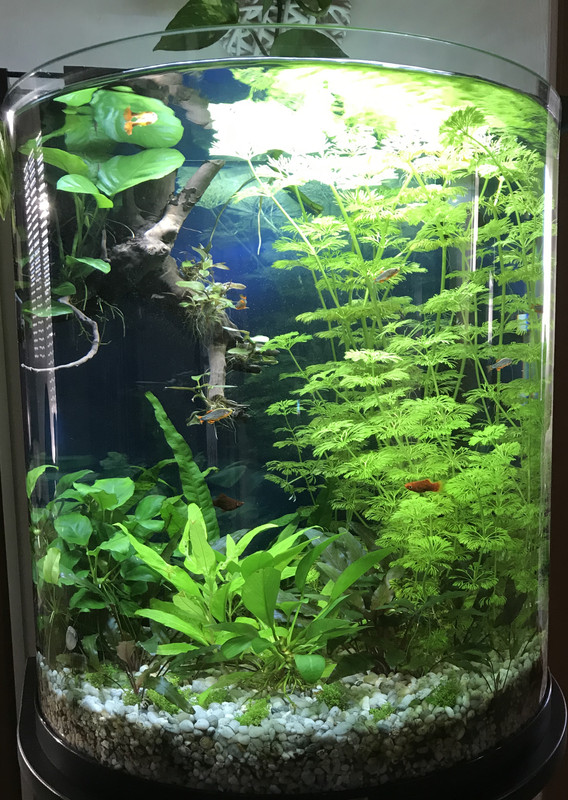 A9A9FA25-8C72-489C-BE51-62359E1DACB6_1_201_a