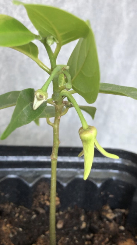 0B49D7B6-1E95-4547-A722-78A153915821